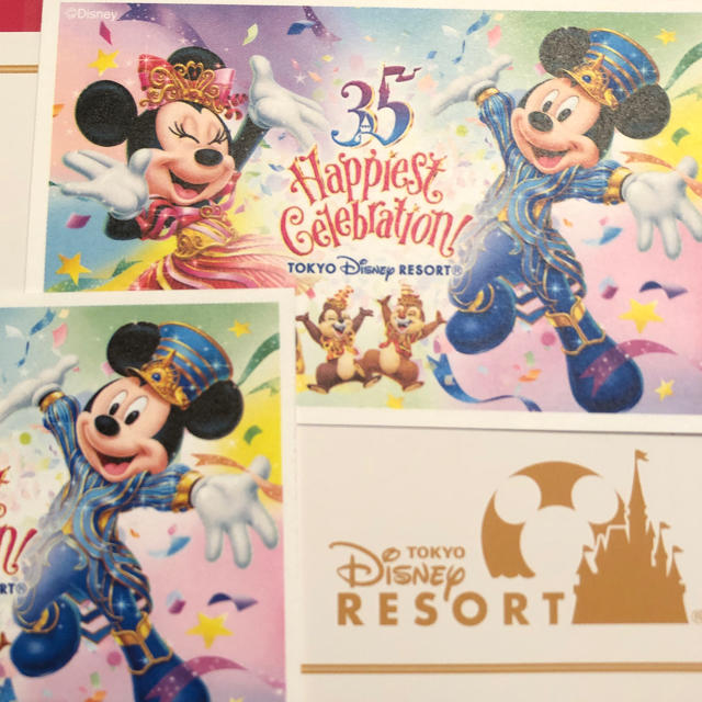 Disney(ディズニー)のDisneyペアチケット 大人2枚 チケットの施設利用券(遊園地/テーマパーク)の商品写真