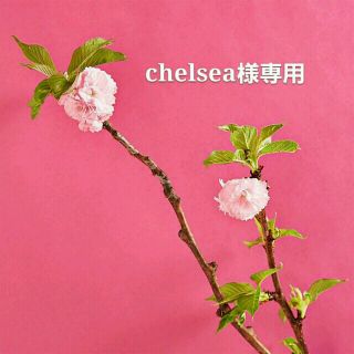 バスアンドボディーワークス(Bath & Body Works)のChelsea様専用(その他)