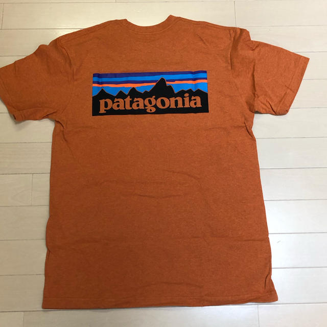 patagonia(パタゴニア)のpatagonia パタゴニア P-6ロゴ レスポンシビリティー  S メンズのトップス(Tシャツ/カットソー(半袖/袖なし))の商品写真
