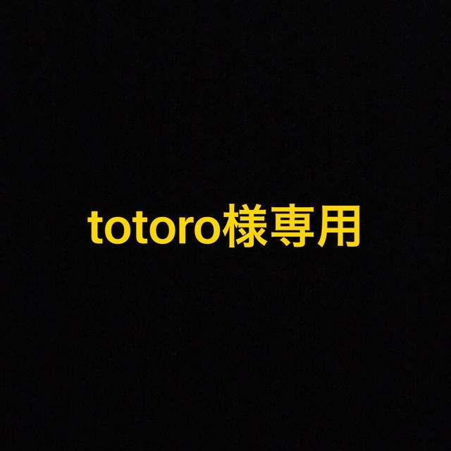 totoro様専用 エンタメ/ホビーのタレントグッズ(アイドルグッズ)の商品写真
