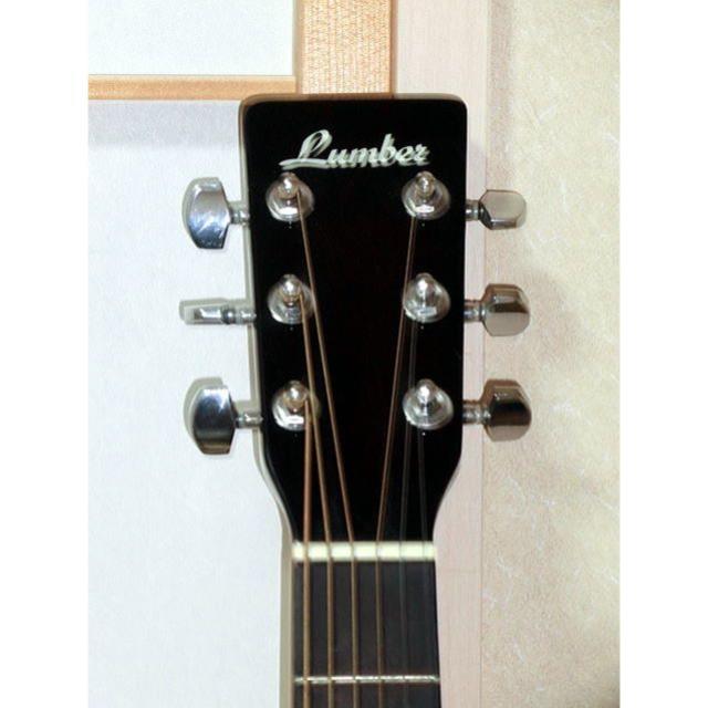 送料無料LUMBER アコースティックギター LDG10NA ソフトケ-ス付きの