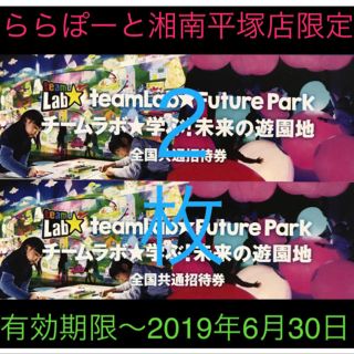 ☆チームラボ 学ぶ！未来の遊園地 ☆ららぽーと 無料招待券 ☆２枚☆ (遊園地/テーマパーク)