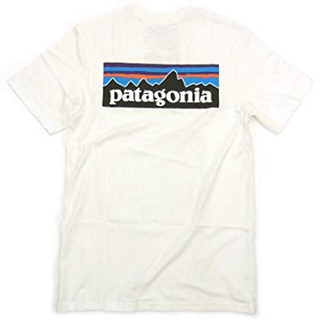 パタゴニア(patagonia)のパタゴニア オーガニックコットンTシャツ ロゴ S(Tシャツ(半袖/袖なし))