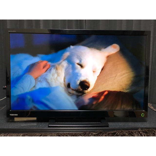 TOSHIBA REGZA 24S12 - テレビ