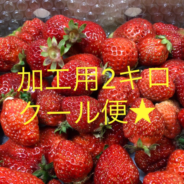 福岡県産あまおう 加工用2キロ★九州地方・中国地方★ いちご 食品/飲料/酒の食品(フルーツ)の商品写真