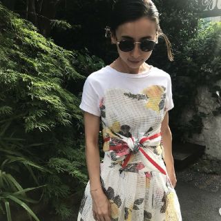 アメリヴィンテージ(Ameri VINTAGE)のAmeri  MEDI MESH PRINT TEE(Tシャツ(半袖/袖なし))