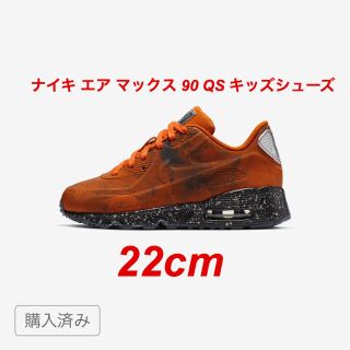 ナイキ(NIKE)のNIKE AIR MAX 90 MARS LANDING キッズ 22cm(スニーカー)