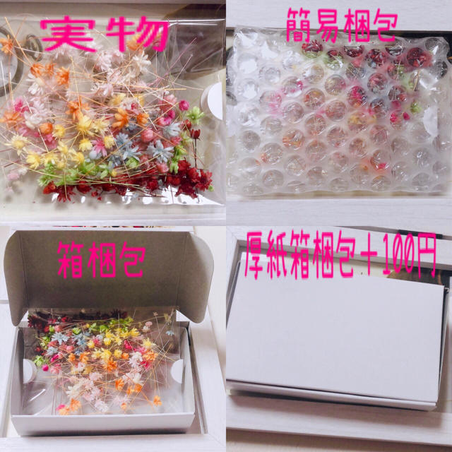 9色100粒mix/スターフラワーミニ/ドライフラワー ハンドメイドの素材/材料(各種パーツ)の商品写真