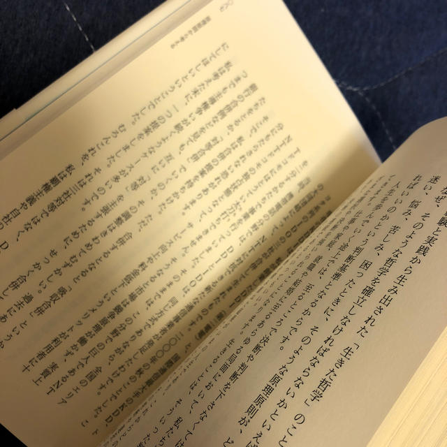 サンマーク出版(サンマークシュッパン)の生き方 稲盛和夫 JAL 美品 日本航空 ビジネス本 エンタメ/ホビーの本(ビジネス/経済)の商品写真