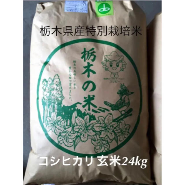 栃木産コシヒカリ【特別栽培米】精米22kg　米/穀物