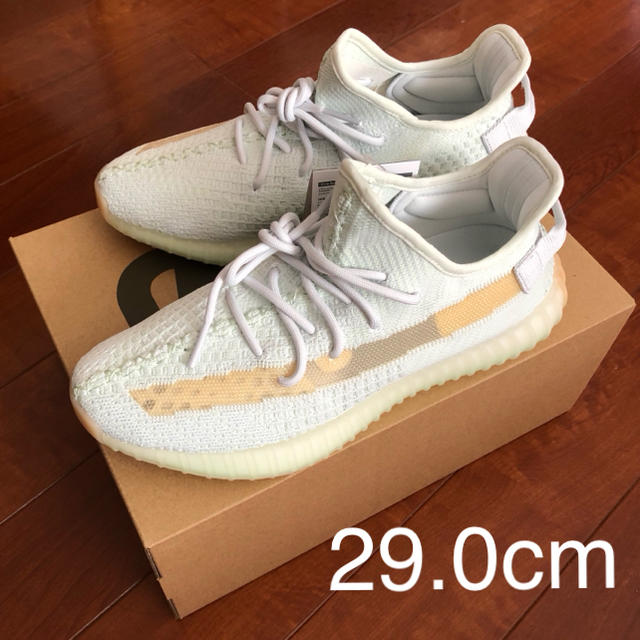 29.0cm adidas YEEZY BOOST 350 V2EG7491サイズ