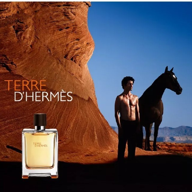 Hermes(エルメス)のHERMES◆TERRE D' HERMES箱無しテールドゥエルメス75ml コスメ/美容の香水(ユニセックス)の商品写真