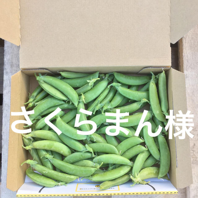 鹿児島産スナップエンドウ箱込み500g^_^ 食品/飲料/酒の食品(野菜)の商品写真