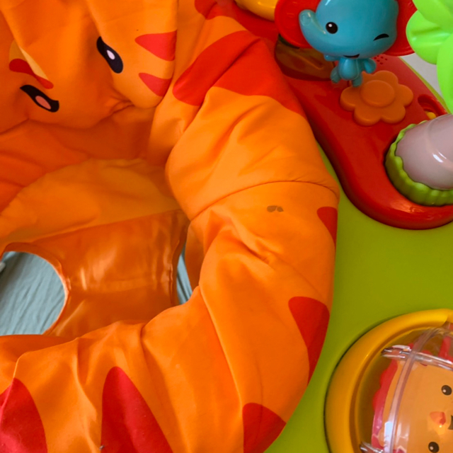 Fisher-Price(フィッシャープライス)のMelissa様専用 レインフォレスト ジャンパルー キッズ/ベビー/マタニティのおもちゃ(ベビージム)の商品写真