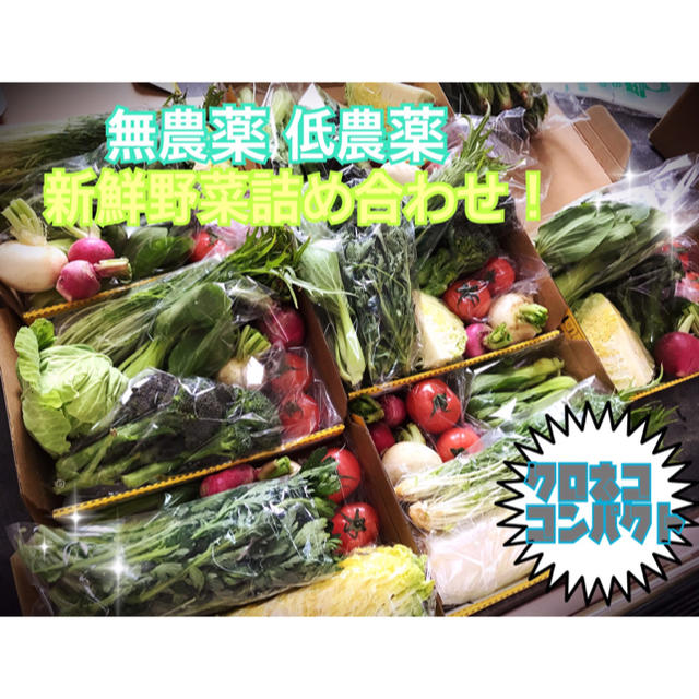農家直送 野菜詰め合わせ コンパクトBOX 食品/飲料/酒の食品(野菜)の商品写真