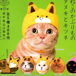 かこすー様専用 ねこのかぶりもの タヌキ(猫)