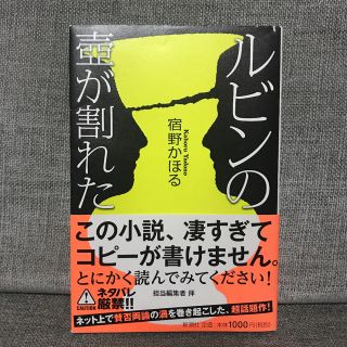 ルビンの壺が割れた(文学/小説)