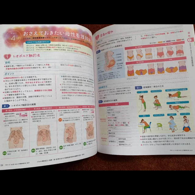 母性小児実習ガイド エンタメ/ホビーの本(健康/医学)の商品写真