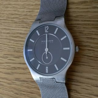 スカーゲン(SKAGEN)のスカーゲン(腕時計(アナログ))