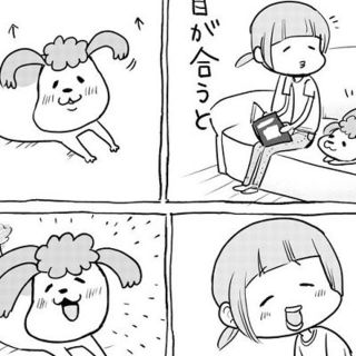 犬と猫どっちも飼ってると毎日たのしい１(その他)
