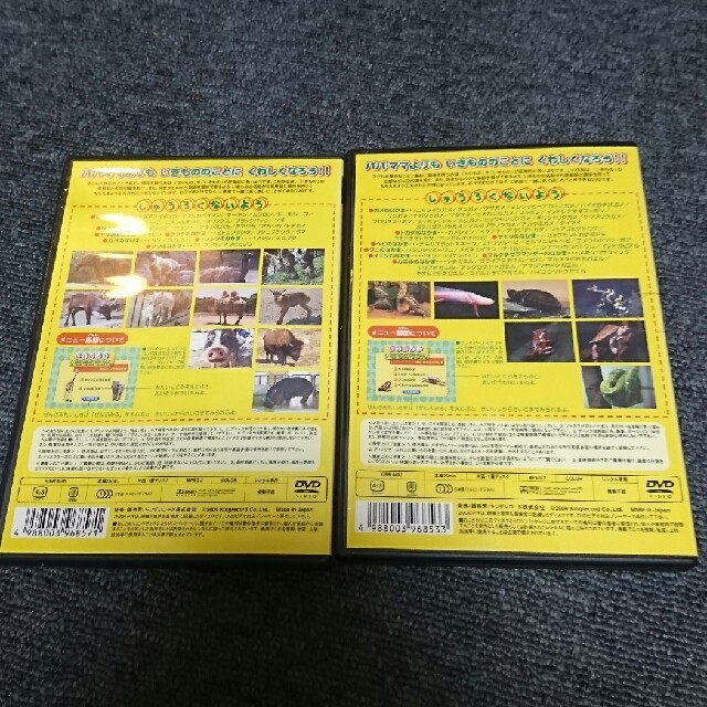 いきものずかん DVDの通販 by KKママ's shop｜ラクマ
