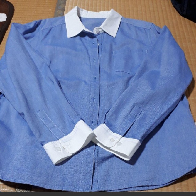 ベルメゾン(ベルメゾン)のシャツ　ブラウス　ベルメゾン　ＬＬ レディースのトップス(シャツ/ブラウス(長袖/七分))の商品写真