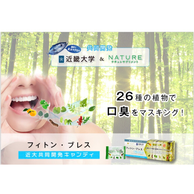 PSA10】ピカチュウLV.10 プロモ なかまをよぶ 003/009 P0556 PSA10】ピカチュウLV.10 プロモ なかまをよぶ 003/009 P0556
