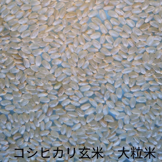 【即購入OK】30年産新潟長岡コシヒカリ大粒米20キロ玄米　精米無料　おまけ付! 食品/飲料/酒の食品(米/穀物)の商品写真