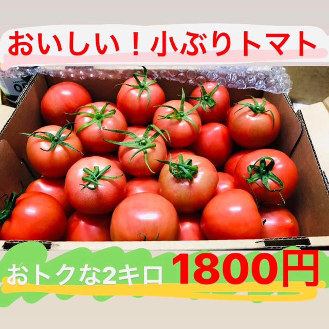 発送は金曜日☆採れたて！トマトたっぷり2キロ☆岐阜県産 食品/飲料/酒の食品(野菜)の商品写真