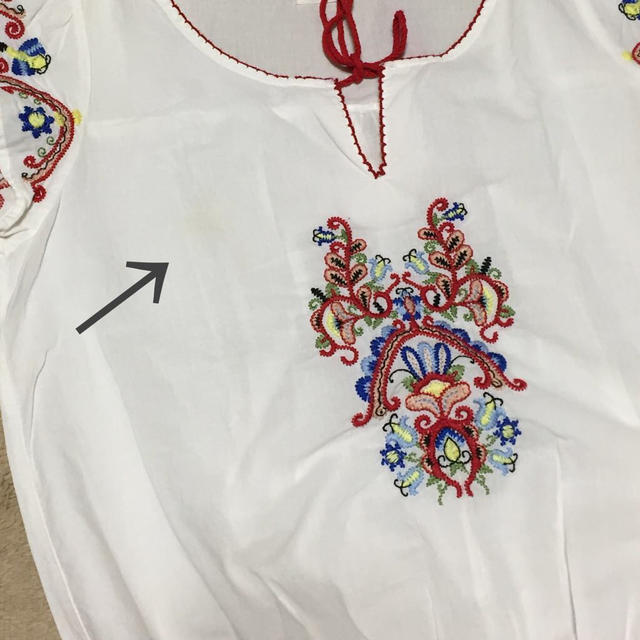JEANASIS(ジーナシス)のJEANASIS 刺繍ブラウス レディースのトップス(シャツ/ブラウス(半袖/袖なし))の商品写真