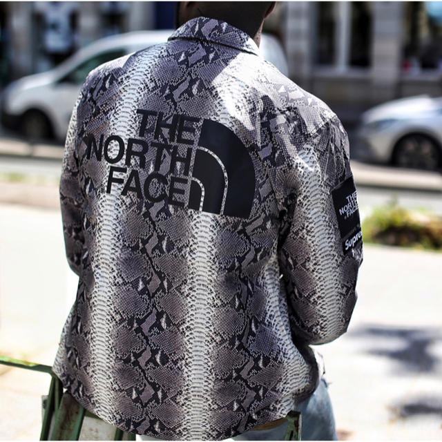 メンズL)SUPREME North Face Snakeskin Coaches