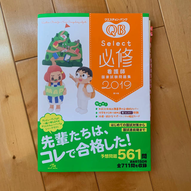 看護師国家試験 過去問題集 エンタメ/ホビーの本(語学/参考書)の商品写真