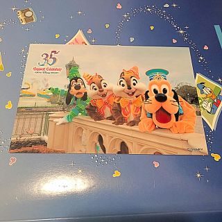 ディズニー(Disney)のスペシャルフォト ディズニー 35周年後半(キャラクターグッズ)