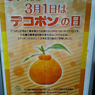 熊本県産☆ミニトマト1.5㎏＋デコポン1㎏(野菜)