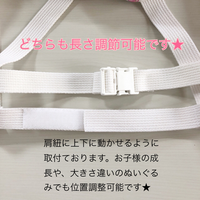 チェストベルト確認ページ