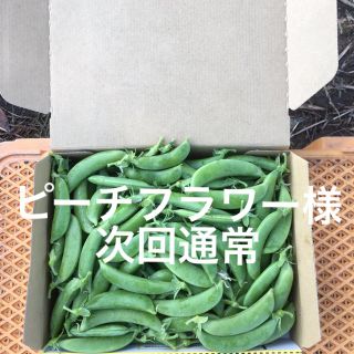 鹿児島産スナップエンドウ1キロ^_^次回通常(野菜)