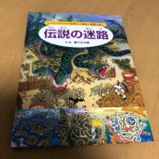 ⭐️最終値下げ⭐️【美品】伝説の迷路シリーズ第5弾 作・絵 香川 元太郎(絵本/児童書)