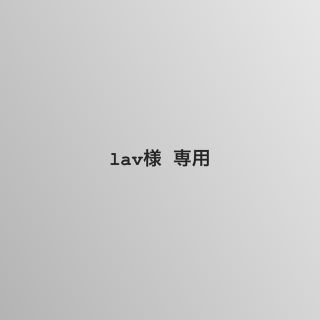 lav様 専用(その他)