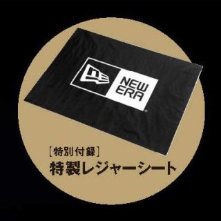 ニューエラー(NEW ERA)のnew era レジャーシート(その他)