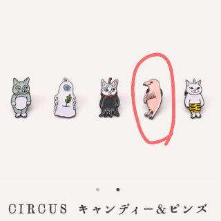 ヒグチユウコ CIRCUS ピンズ (バッジ/ピンバッジ)