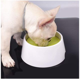 ペット 犬 猫 水 飲み器 給水器 水飲み 食器 ボウル 濡れない 1000ml(犬)