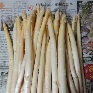 (限定増量！)佐賀県産ホワイトアスパラ1.8キロ(訳あり)(野菜)