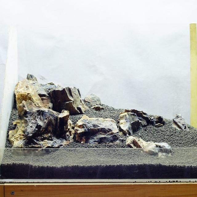 木化石セット 45水槽 -18cm アクアリウム テラリウム BS122