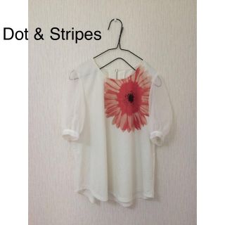 ドットアンドストライプスチャイルドウーマン(Dot&Stripes CHILDWOMAN)のDot＆Stripes ◆ シフォン袖(シャツ/ブラウス(半袖/袖なし))