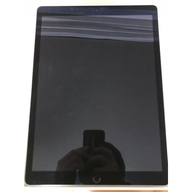 専用商品iPad Pro  オプションApple pencil 128GBスマホ/家電/カメラ