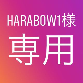 パタゴニア(patagonia)のharabow1様 専用(ショートパンツ)