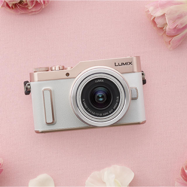 格安販売の Panasonic Panasonic DC-GF10/GF90 LUMIX ミラーレス一眼