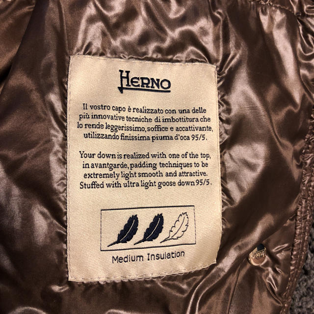 HERNO(ヘルノ)の専用ヘルノダウンジャケット42モンクレールタトラスカナダグース レディースのジャケット/アウター(ダウンコート)の商品写真