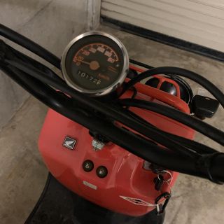 ホンダ 値下げあり ズーマー Zoomer Honda 車体 オレンジ 原付の通販 By ちるるしょっぷ ホンダならラクマ