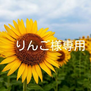 クレイサス(CLATHAS)のりんご様専用 CLATHAS  ベティー 口金折れ財布(財布)